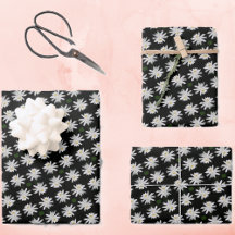 Lily branca com fundo preto - Floral