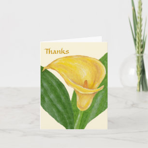 Lily cartões de agradecimentos