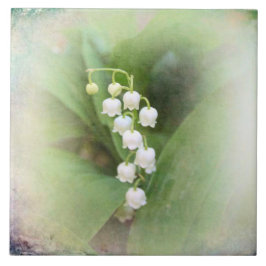 Lily do Azulejo cerâmico do vale