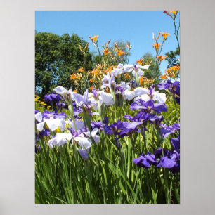 Lily e Iris Garden Poster