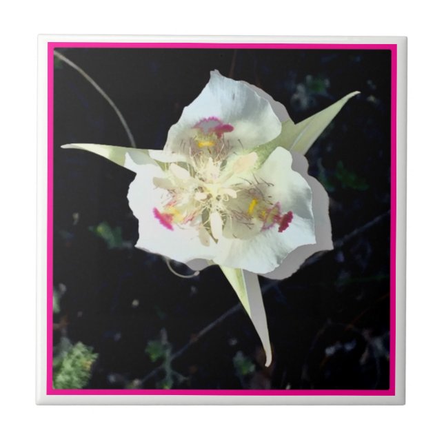 Lily Fairy Azulejo Rosa (Frente)