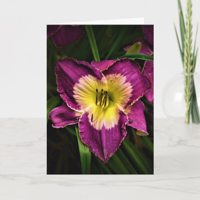 Lily & Ladybug, cartão (Frente)