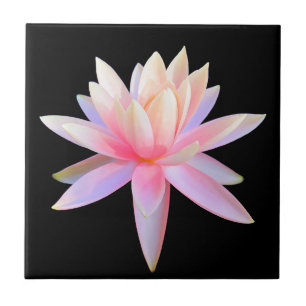 Lily Lotus, Legal, Linda, Rosa, Lily