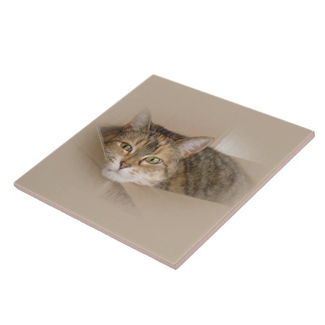 Lily nº 2 (Lateral)