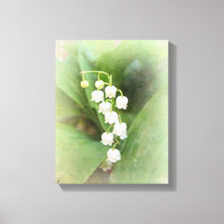 Lily of the Valley Stretered Canvas Print