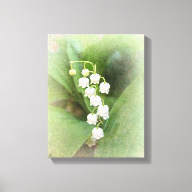 Lily of the Valley Stretered Canvas Print (Frente)