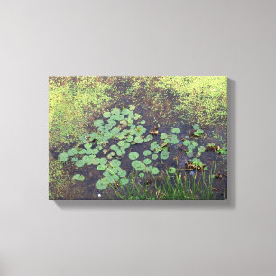 Lily Pad na Canvas
