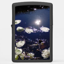 Lily Pad Sun Refletion Faerie Magic