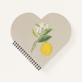 Limão de Desenho Mão