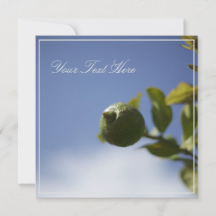 Limão de limão verde sua placa plana de texto