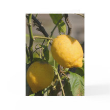 Limão espanhol na árvore Cartões Saudáveis