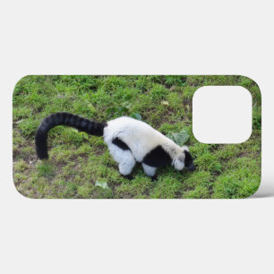 Limão Rupido Preto-e-Branco #1 iPhone 13 Pro Case