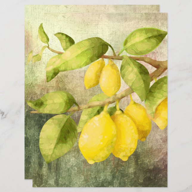 Limões em uma ramificação (Frente/Verso)