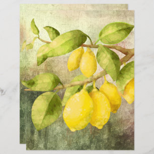 Limões em uma ramificação