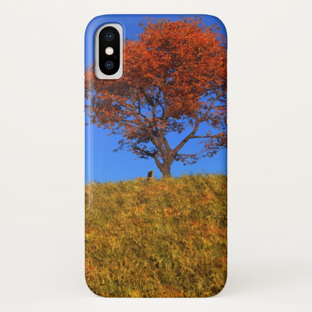 Limpar capas de iphone do Dia do outono (Verso)