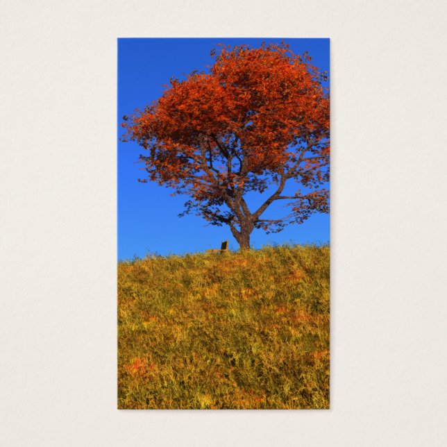 Limpar marcadores do dia de outono (Frente)