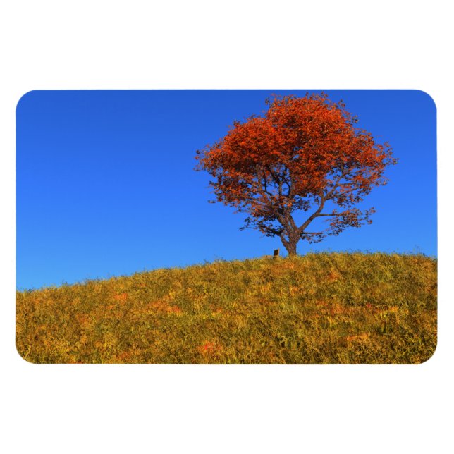 Limpar o ímã flexível do dia do outono (Horizontal)