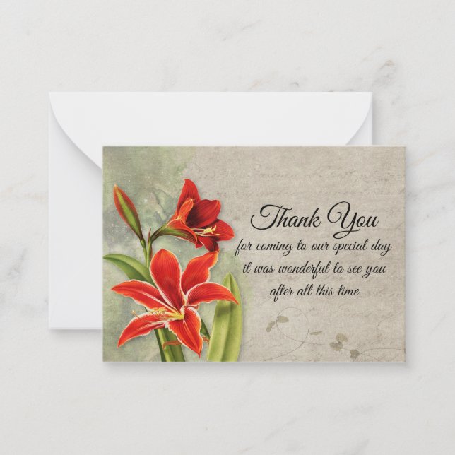 Linda Amaryllis Flower Obrigado Cartões (Frente)