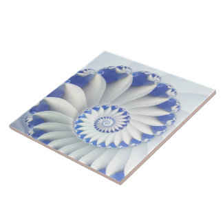 Linda Arte Fractal de Shell Azul e Branco