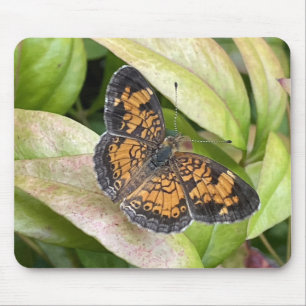 Linda borboleta na Nature Mousepad