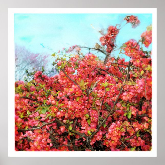 Linda canção, poster (Frente)