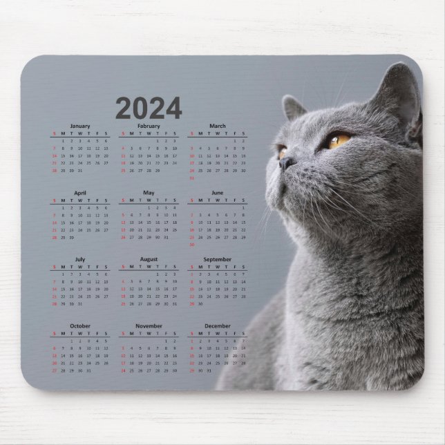 Linda Cinza Cat 2024 Calendar Mouse Pad (Frente)