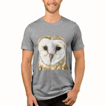 Linda Coruja-do-celeiro