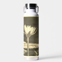 Linda flor de água em sépia