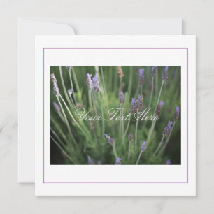 Linda Lavanda Flor Seu Texto De Cartão Simples