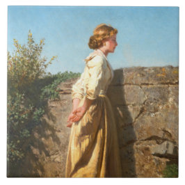 Linda Mulher Olhando Sobre A Parede (Vintage)