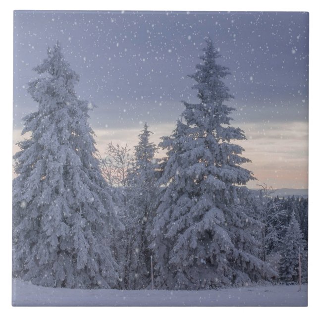 Linda paisagem de inverno como nevando (Frente)