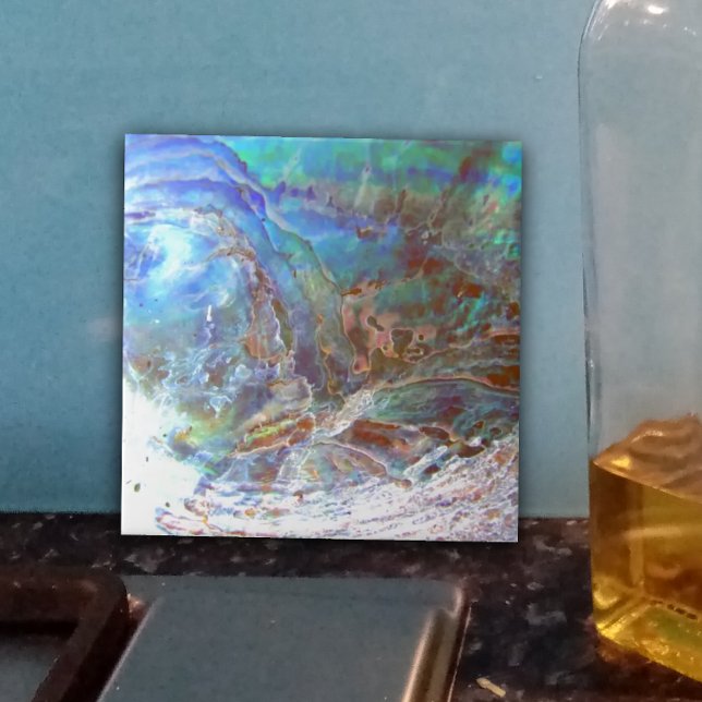 Linda Paua Black Abalone New Zelândia Shell (Criador carregado)