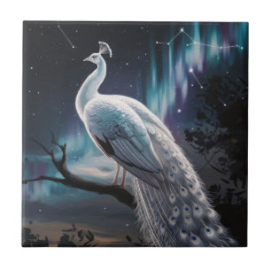 Linda Pavão Branco Aurora Borealis Cênico