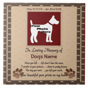 Linda Paw Imprime em Meu Coração (marrom)