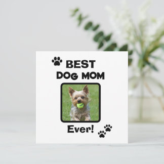 Linda Personalizar Melhor Mãe de Cachorro Gato do