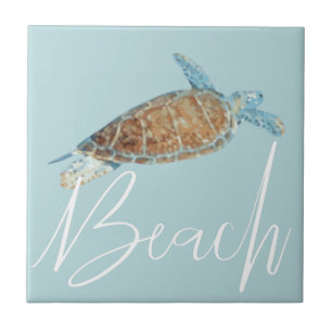 Linda Tartaruga Pintada Com Praia