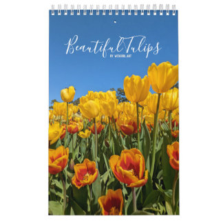 Linda Tulipa Calendário Flor