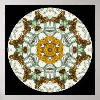Lindas asas de borboleta mandala poster