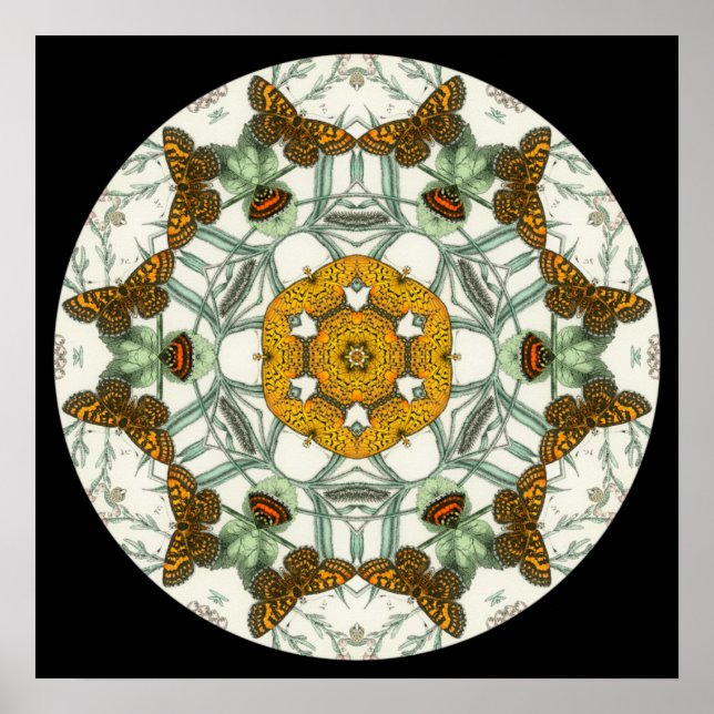 Lindas asas de borboleta mandala poster (Frente)