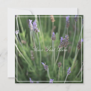 Lindas Flores de Lavanda Cartão Plano com seu Text