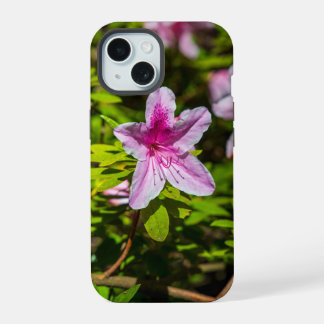 lindas flores rosa da azálea nos Jardins Descanso