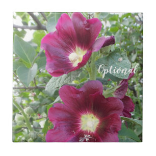 Lindas Flores Vermelhas Profundas e Folhas Verdes