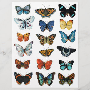 Lindas ilustrações da borboleta para o artesanato