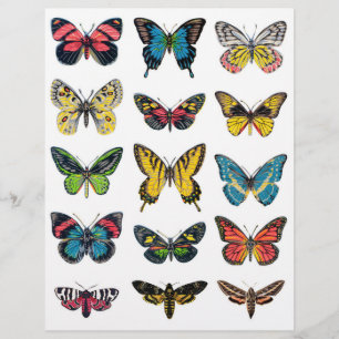 Lindas ilustrações da borboleta para o artesanato