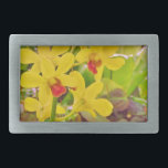 Lindas orquídeas de outono amarelas<br><div class="desc">Lindas orquídeas amarelas adoráveis orquídeas amarelas Flores do Flor do Flor. Foto de Sandy Closs Excelente para todas as estações primavera no inverno e outono. tropical, moderno, outono, flor, flores, floral, primavera, orquídea, jardim, casamento, casamentos, flores, </div>