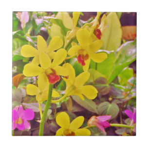 Lindas orquídeas de outono amarelas