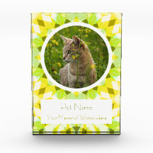 Lindo Amarelo Verde Memorial de Gato Cachorro Anim