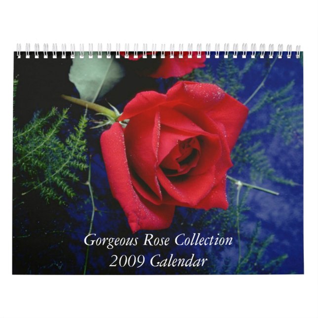 Lindo aumentou o calendário 2009 (Capa)