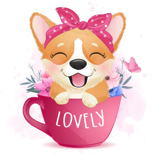 Lindo Cachorrinho