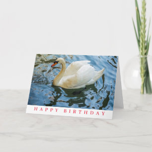 Lindo cartão de aniversário do cisne branco